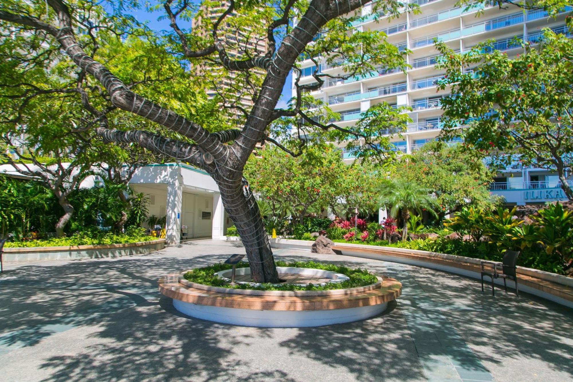 Ilikai Tower 1340 Lagoon View 1Br Honolulu Ngoại thất bức ảnh